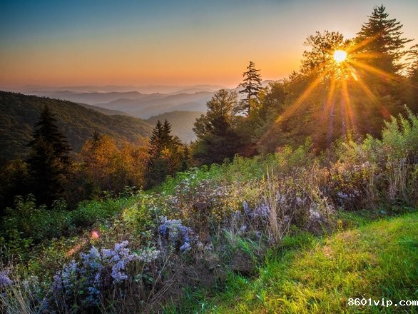 aa
