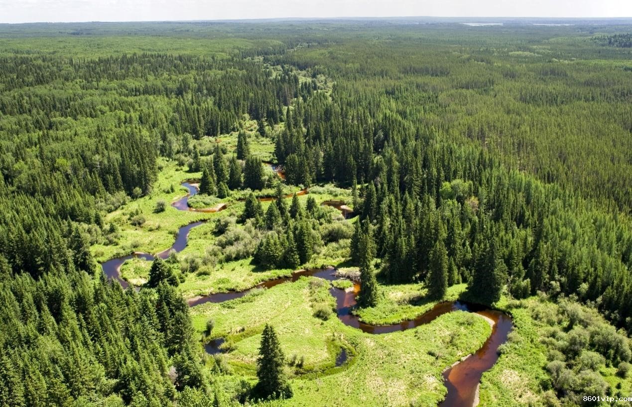 aa