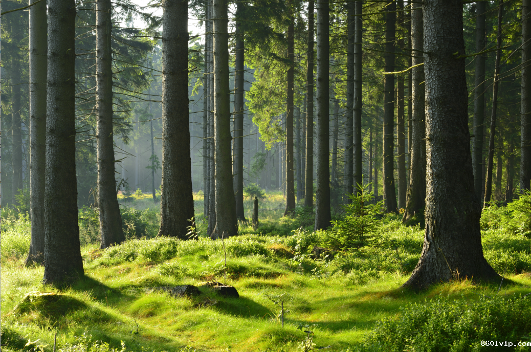 aa